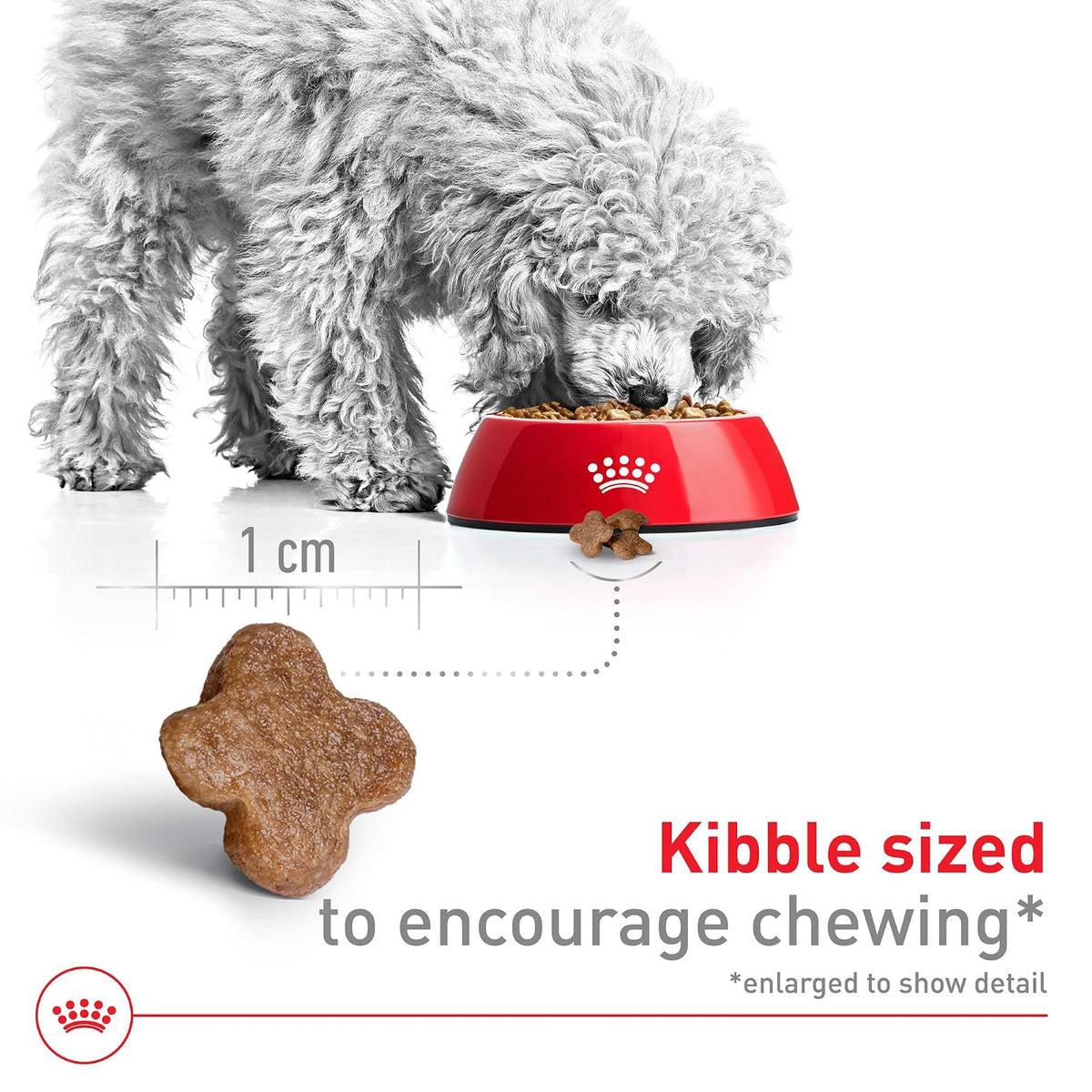ROYAL CANIN Croquetas para Perros Pequeños, Mini Mature +8, 1.1 kg (El empaque Puede Variar)