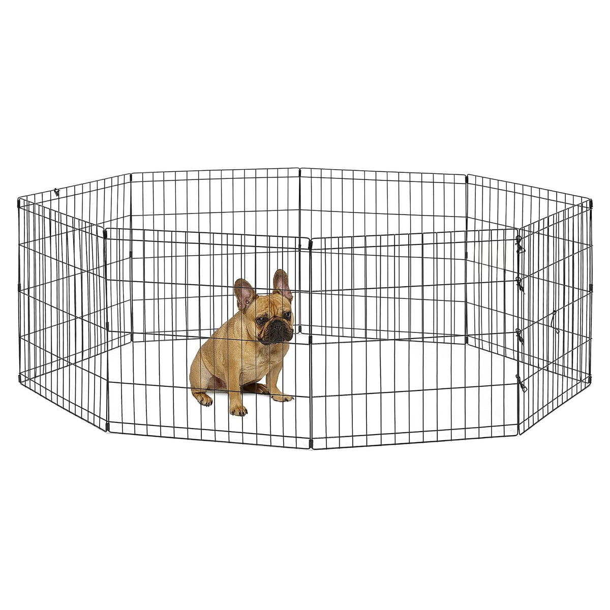 New World Pet Products Corral Plegable de Ejercicio para Mascotas, Negro - Small Dog Pen: 24 " - Bolígrafo para perros pequeños: 24 pulgadas - Parque de juegos para mascotas