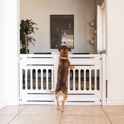 IRIS USA 61 cm a 99.1 cm Barrera Ajustable para Mascotas Portátil y Expandible, para Cachorros y Perros Pequeños a Medianos, Fabricada en Plástico Resistente Moldeado de 63.5 cm de Altura, Blanco