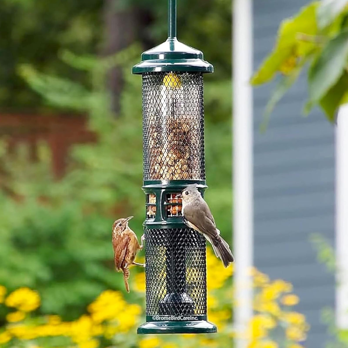 Squirrel Buster Comedero de Tuercas Prueba de Ardillas para Frutos Secos y Frutas, Dos Mallas
