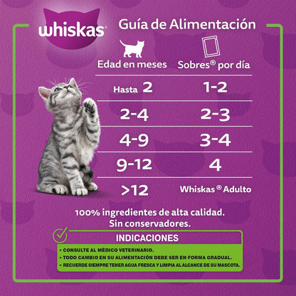 Whiskas - Alimento Húmedo para Gatitos, Sabor Atún, con Proteína, Zinc, Vitamina E y Fibra, 24 Sobres para Gato, 85 gr. c/u