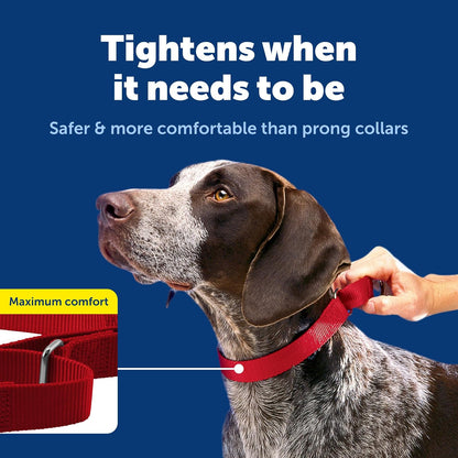 PetSafe Martingale Collar 1" Large, Red