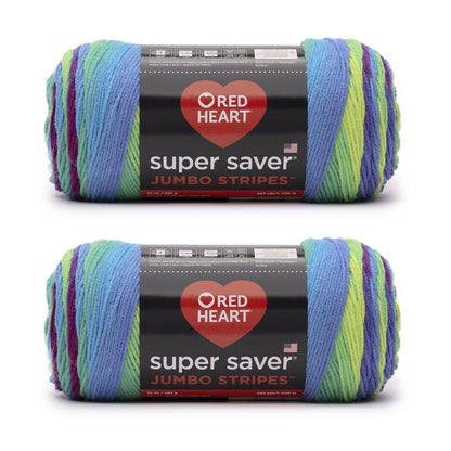 Red Heart Super Saver Jumbo - Hilo de rayas de loro, paquete de 2 unidades de 10 oz/283 g, acrílico, 4 medianos (peorado) - 482 yardas - Tejer/ganchillo