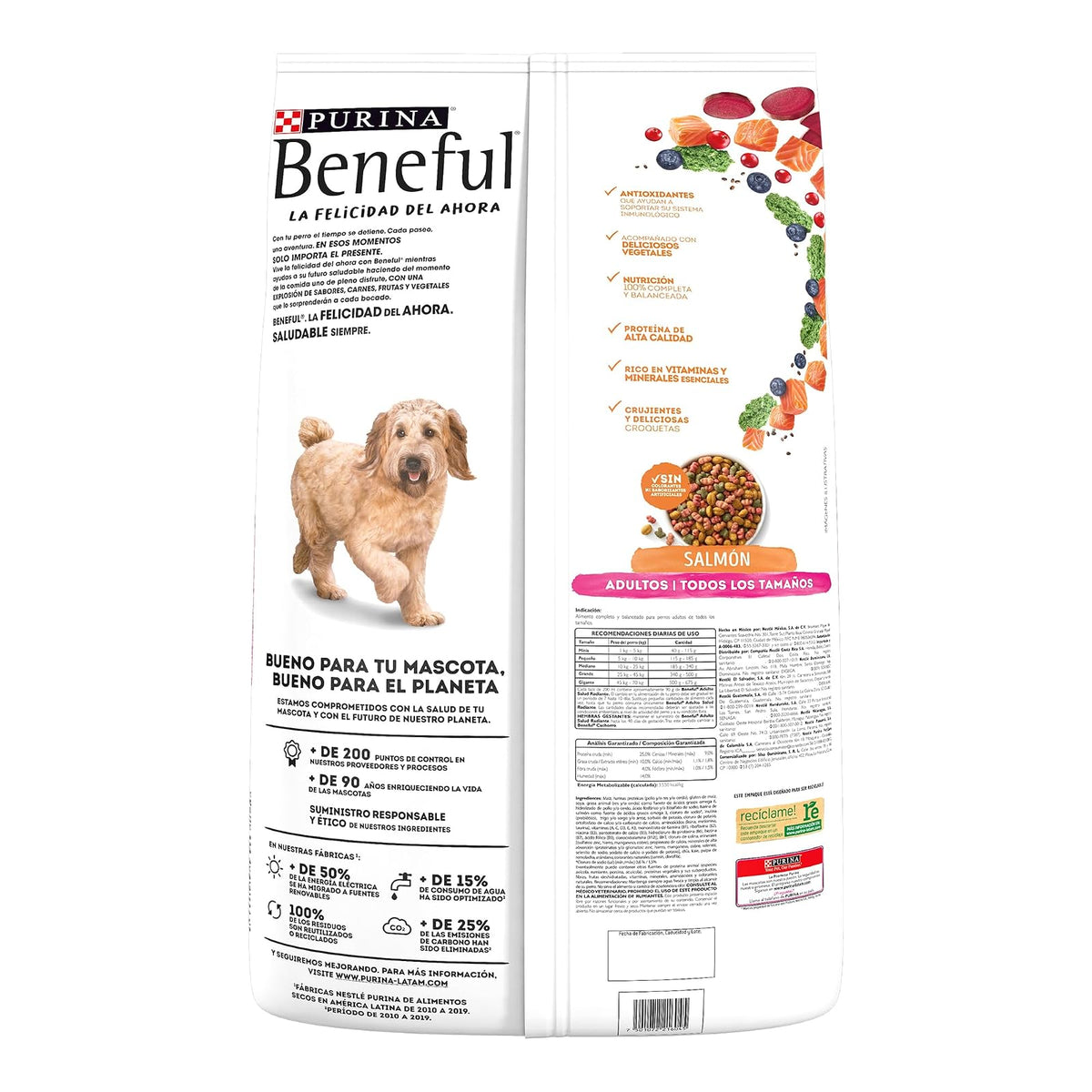 Purina Beneful Adulto Todos los tamaños Salud Radiante Sabor Salmón 10Kg