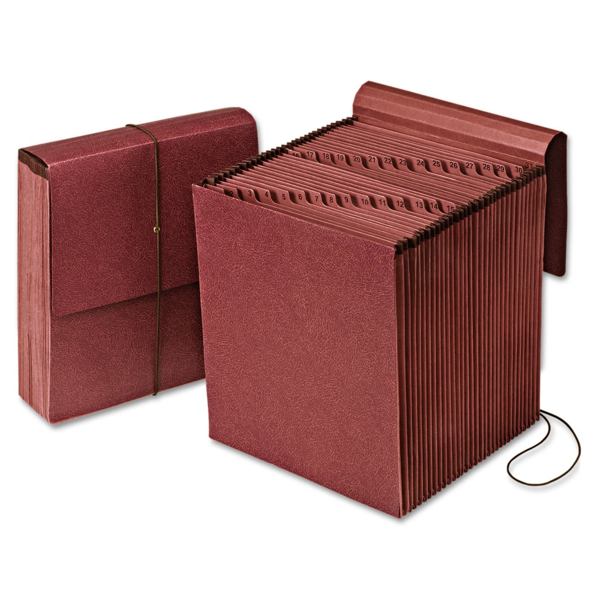 Pendaflex Carpeta expandible vertical reforzada diaria 1-31/31 bolsillo reforzado, tamaño carta, 1 cada uno (14004)