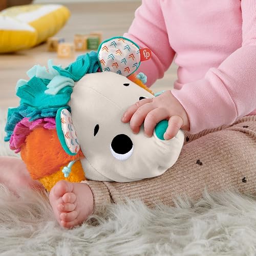 Fisher-Price, Erizo Estímulos y Juego, Baby, Juguete para Bebé, Juguetes Didácticos, 3 Meses en Adelante, 8 Texturas Diferentes y 3 Sonidos únicos para Que el bebé Explore