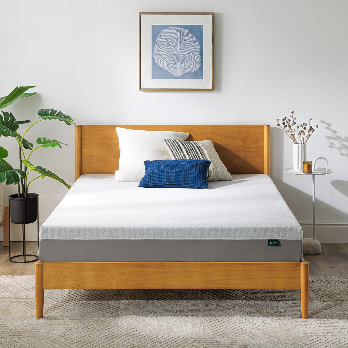ZINUS - Colchón de Espuma viscoelástica Esencial de té Verde de 8 Pulgadas, Cama en una Caja, colchón asequible, Certificado CertiPUR-US,