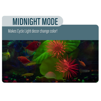 GloFish Aquarium Kit 5 gallon, Includes Hinged Cycle Light & Hidden filtration