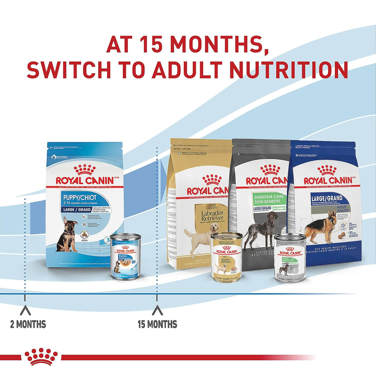 ROYAL CANIN - Croquetas para Cachorro Grande, Large Puppy 7.72 Kg