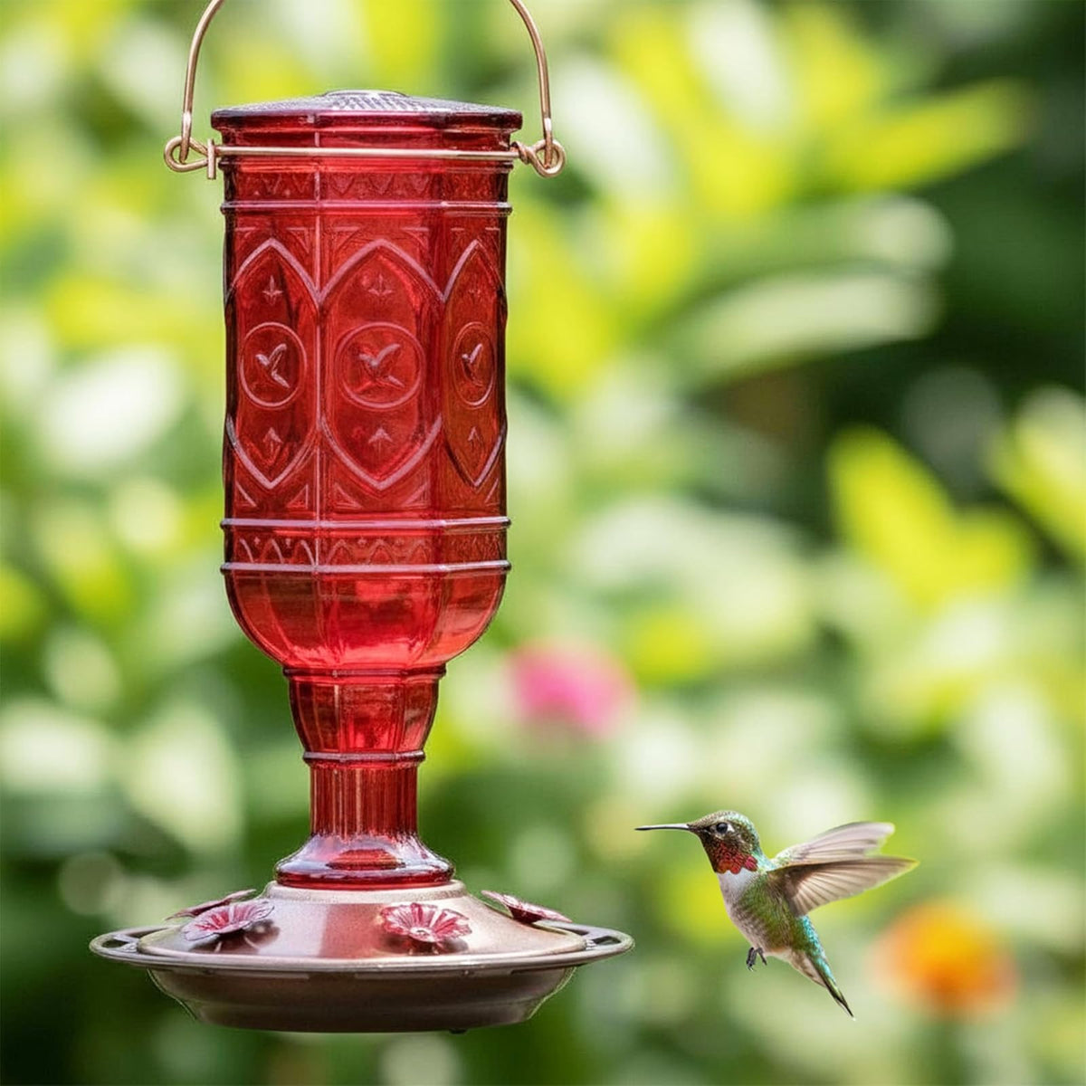 More Birds 76IN Ounce Nectar Capacity Hummingbird Feeder Vintage Red Antique Glass Bottle, 23-Oun, 23 oz
