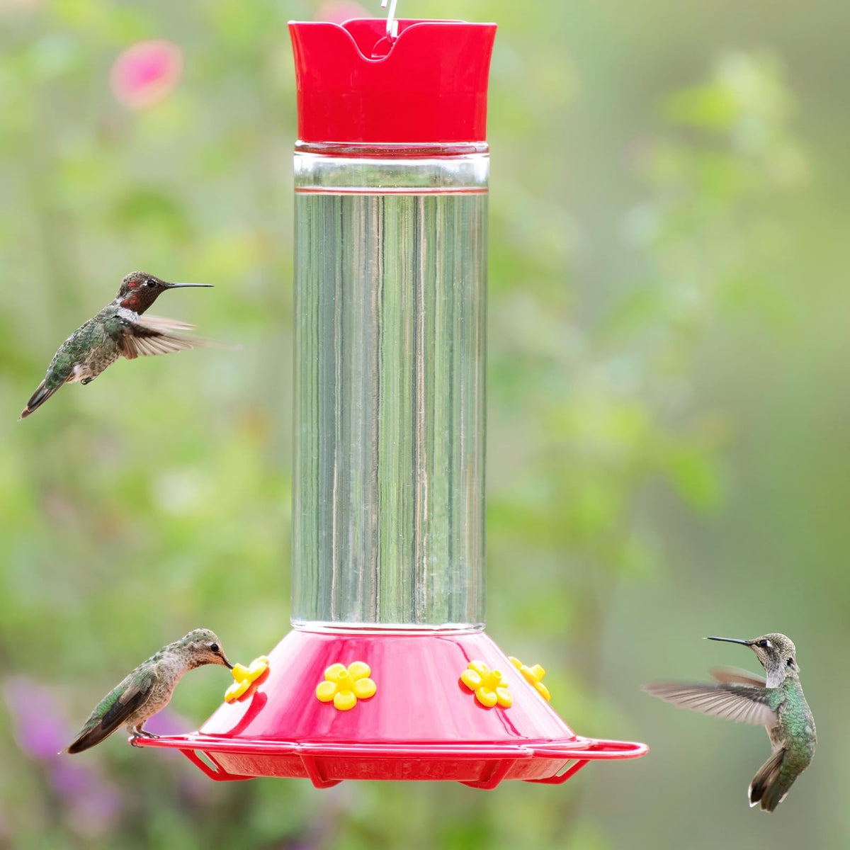 Perky-Pet 209B-1SR Nuestro Mejor alimentador de colibríes de Vidrio con Perchas, Foso de Hormigas Integrado y Protectores de Abejas, 30 onzas para decoración de jardín al Aire última intervensión