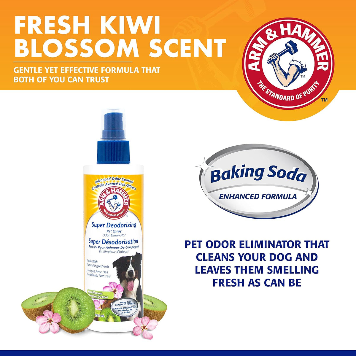 Arm & Hammer Super Deodorizing Spray for Dogs | Best Odor Eliminating Spray For All Dogs and Puppies, 8 ounces, Kiwi Blossom Scent