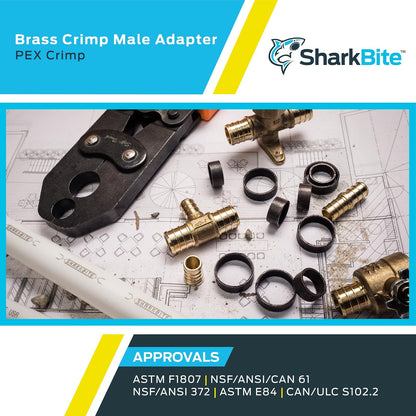 SharkBite Adaptador macho MNPT de 1/2 pulgada, paquete de 10, ajuste de fontanería de latón, tubo PEX, cobre, UC120LFA10