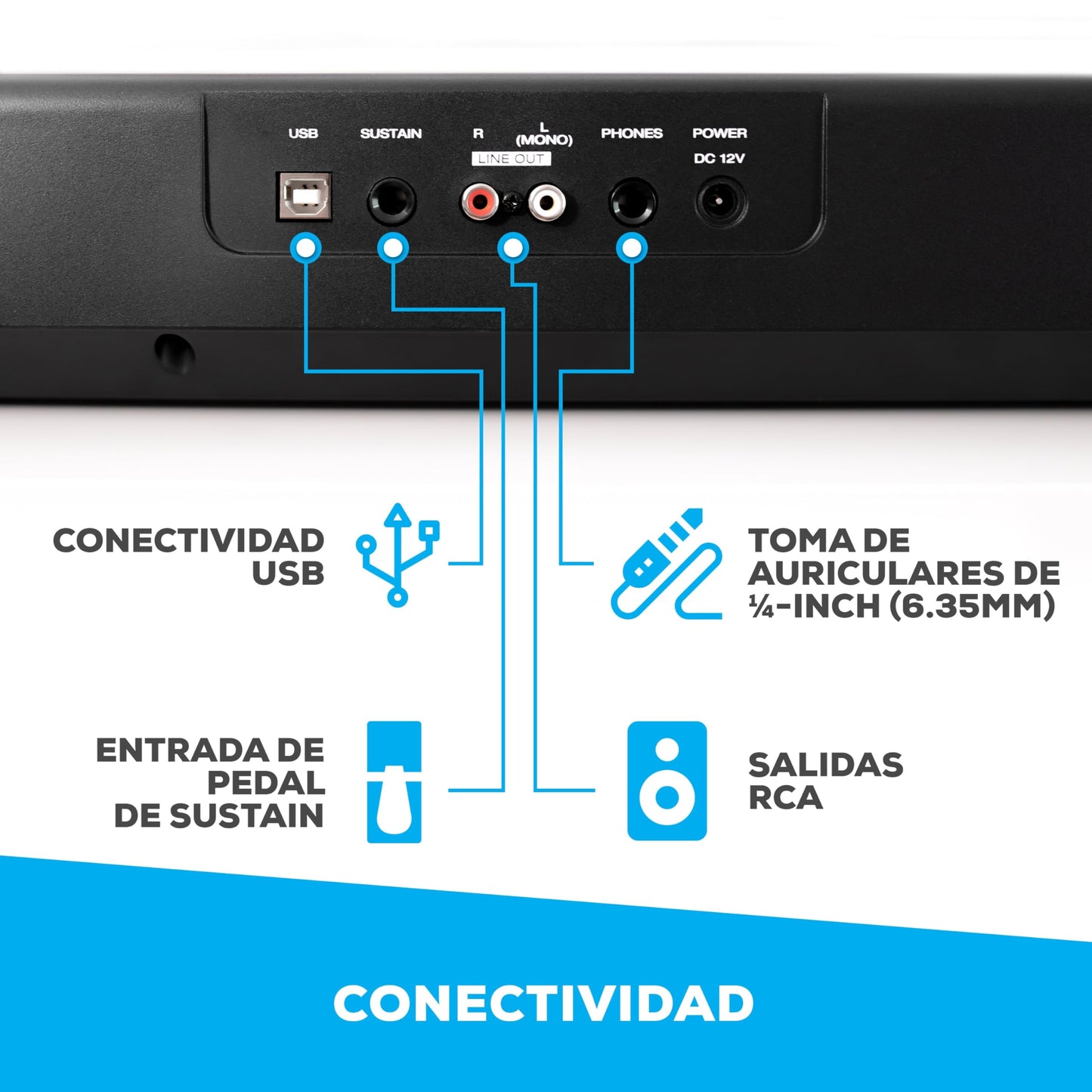 Alesis Recital - Piano Eléctrico digital con teclado de 88 Teclas Semi-contrapesadas full size, altavoces integrados y 5 voces premium