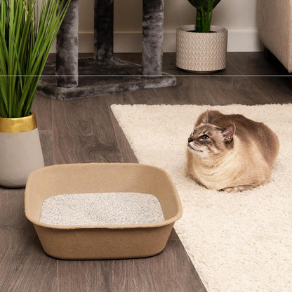 Kitty Sift (6 Unidades) Caja de Arena desechable para Gatos, sostenible, Limpia, Grande, Paquete de 6