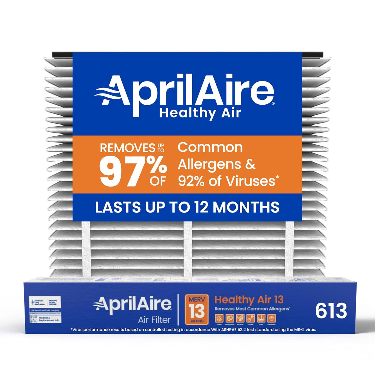 AprilAire 613 - Filtro de repuesto para purificador de aire AprilAire para toda la casa 1625FG - MERV 13, alergia en el hogar saludable, filtro de aire de 16 x 25 x 4 (paquete de 1)