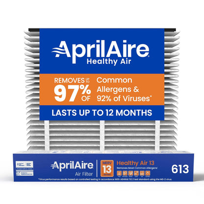 AprilAire 613 - Filtro de repuesto para purificador de aire AprilAire para toda la casa 1625FG - MERV 13, alergia en el hogar saludable, filtro de aire de 16 x 25 x 4 (paquete de 1)