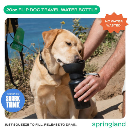 Springer Flip Botella de Agua para Perros 20 oz | Tazón de silicona plegable, a prueba de fugas, grado alimentario, sin BPA, mosquetón incluido