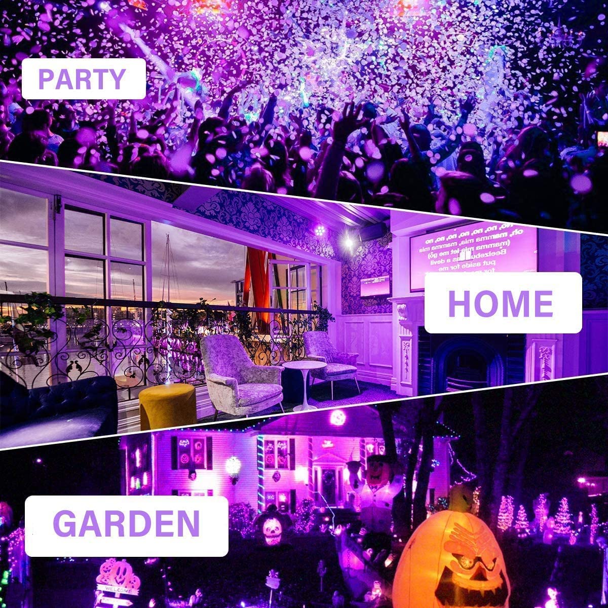 DOSYU Tira Neón Flex LED, 12V 16.4ft/5m Impermeable Flexible Cortable DIY 2835 Luces Led IP65 Decorativa para TV, Cuarto, Halloween, Fiesta de Navidad, con Adaptador(Violeta)