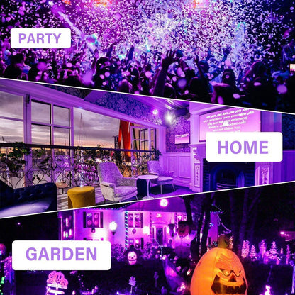 DOSYU Tira Neón Flex LED, 12V 16.4ft/5m Impermeable Flexible Cortable DIY 2835 Luces Led IP65 Decorativa para TV, Cuarto, Halloween, Fiesta de Navidad, con Adaptador(Violeta)