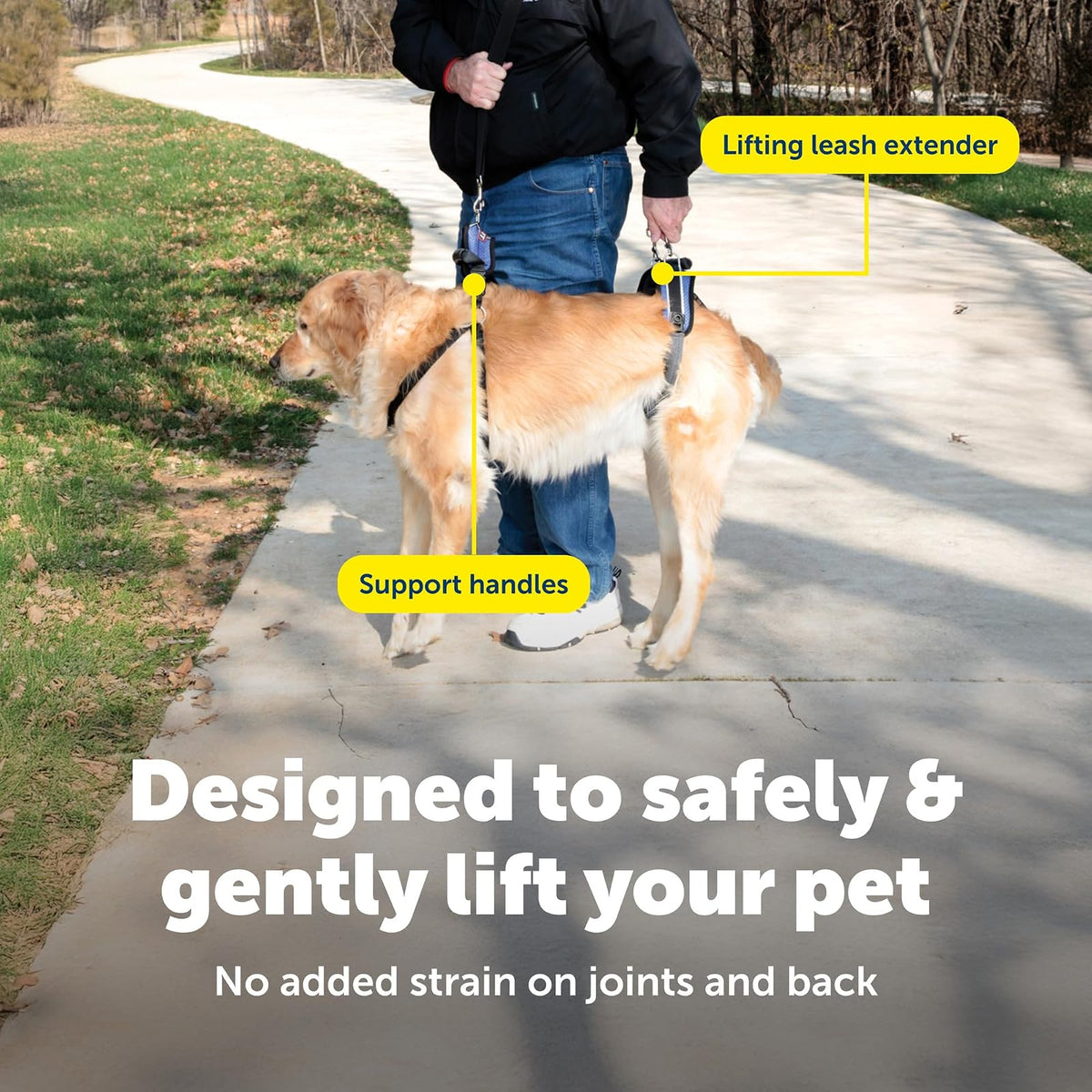 PetSafe CareLift Support Harness - Full Body Dog Lift Harness with Handle & Shoulder Sling - Great for Elderly Dogs, Hip Dysplasia, ACL Surgery - Designed to Help Them Up - Adjustable - Large