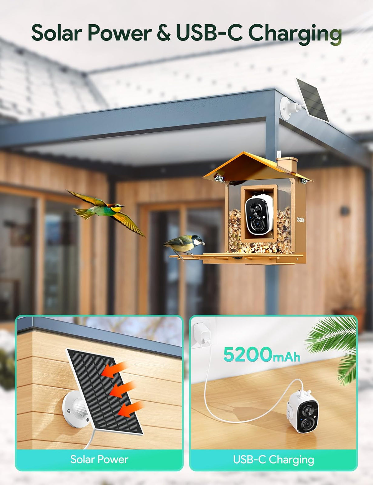 Osoeri Comedero para Pájaros con Cámara, Exterior, Solar, IA Identifica Aves, Captura Vídeos Automática, Alerta Inmediata, Regalo Ideal (Familia y Amantes)