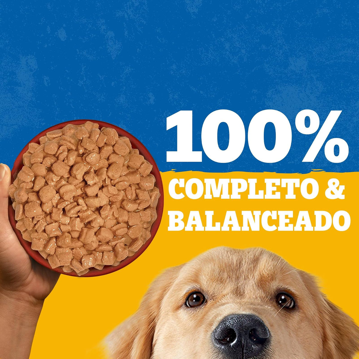 Pedigree - Alimento Húmedo para Perro Adulto, Pollo En Filetes, 24 Sobres, con Proteína, Antioxidantes y Vitamina E