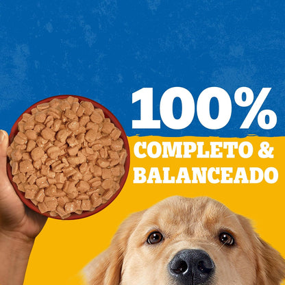 Pedigree - Alimento Húmedo para Perro Adulto, Pollo En Filetes, 24 Sobres, con Proteína, Antioxidantes y Vitamina E