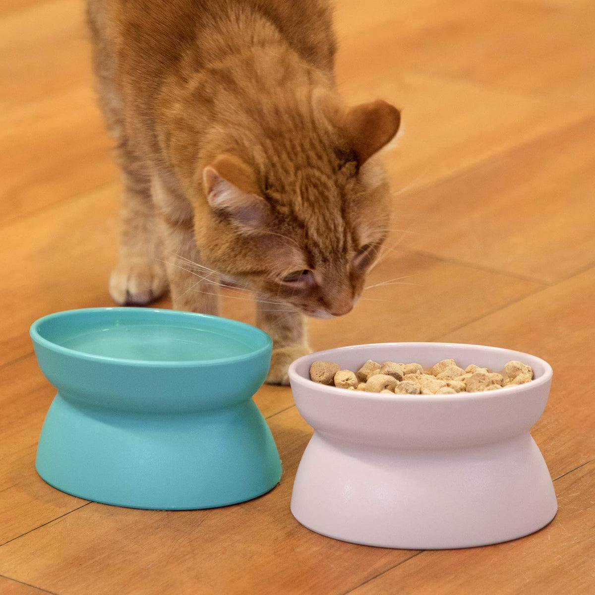 Kitty City - Cuenco elevado de comida para gatos, comedero y bebedero para mascotas sin estrés
