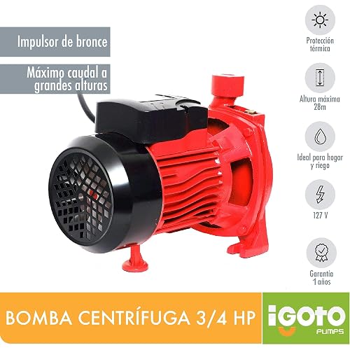 Igoto CPM146 D Bomba de Agua Centrífuga 3/4 HP 127V Bomba Eléctrica para Tinaco Cisterna Riego y Alberca Altura Máx. 28 m Flujo hasta 92 L/min Impulsor de Bronce Protección Térmica