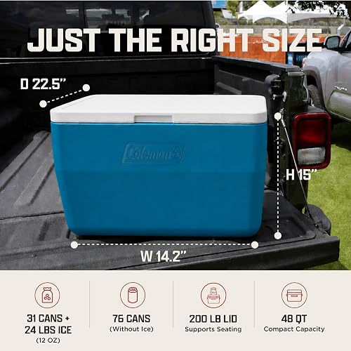 Chiller Cooler 48 QT
