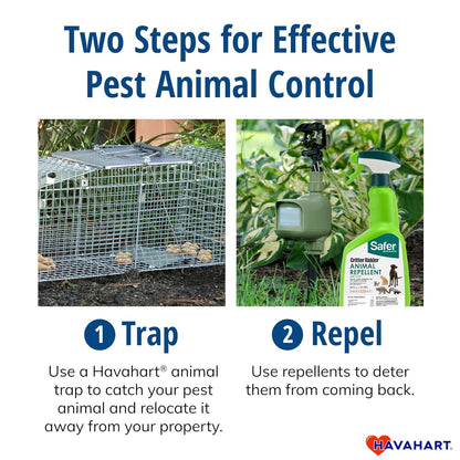 HAVAHART 1078SR - Trampa de Animales de 1 Puerta para Conejo, Mofeta, visón y Ardilla