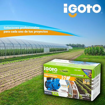 Igoto QB60 Bomba Periférica ½ HP 370W 127V Caudal Máximo 35 l/m Altura Máxima 35m Ingerto de Bronce Embobinado de Cobre Impulsor de Bronce Proteccion IP44 Ideal para Casa Negocio Jardin