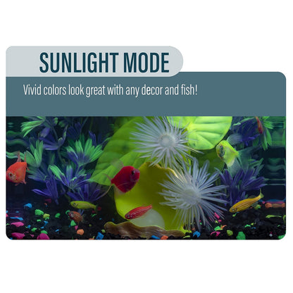 GloFish Aquarium Kit 5 gallon, Includes Hinged Cycle Light & Hidden filtration