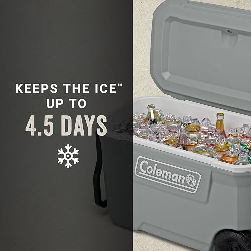 Coleman Ice Chest | Enfriadores Duros de la Serie 316
