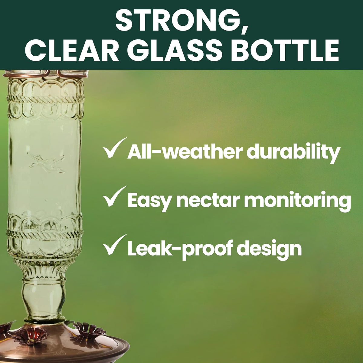 Perky-Pet 8107-2 Antique Bottle 10-Ounce Glass Hummingbird Feeder, Clear