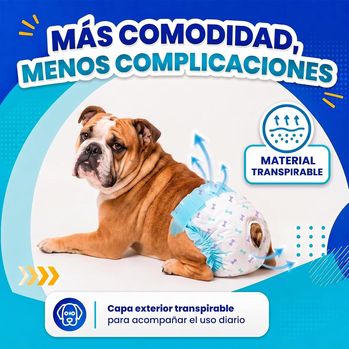 Fancy Pets Pañales Desechables para Perro Med, Súper Absorbentes, 12 Piezas, para Incontinencia, Entrenamiento y Celo, Cómodos y Ajustables