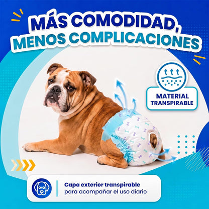 Fancy Pets Pañales Desechables para Perro Med, Súper Absorbentes, 12 Piezas, para Incontinencia, Entrenamiento y Celo, Cómodos y Ajustables