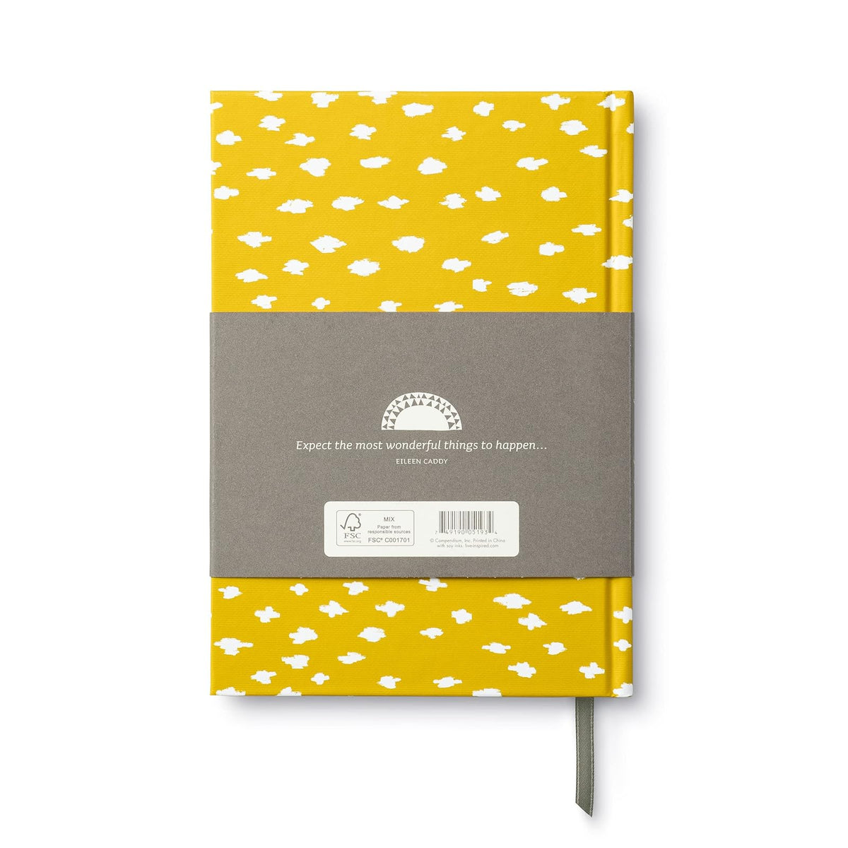 Expecting You: A Keepsake Pregnancy Journal