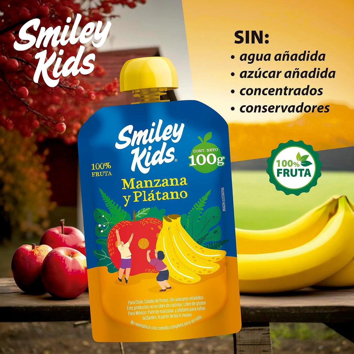 Smiley Kids Caja /24 Papilla Convencional – Manzana + Mango, Manzana + Plátano, Manzana + Pera y Manzana