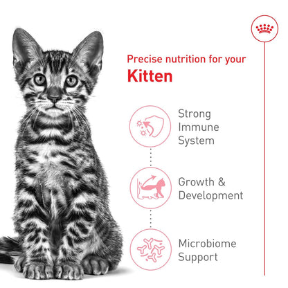 ROYAL CANIN Kitten para Gatito Esterilizado 1.1 Kg