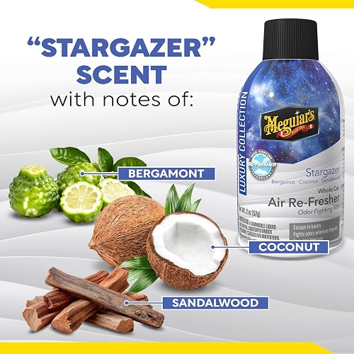 Meguiar's Car Air Refresher Nebulizador Antiolor, Aroma Stargazer, 57 g G262702