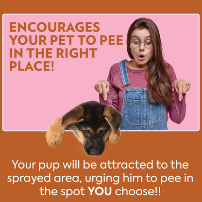 OUT! Pet Care Go Here Attractant Spray Bottle for Pets, 32-Ounce