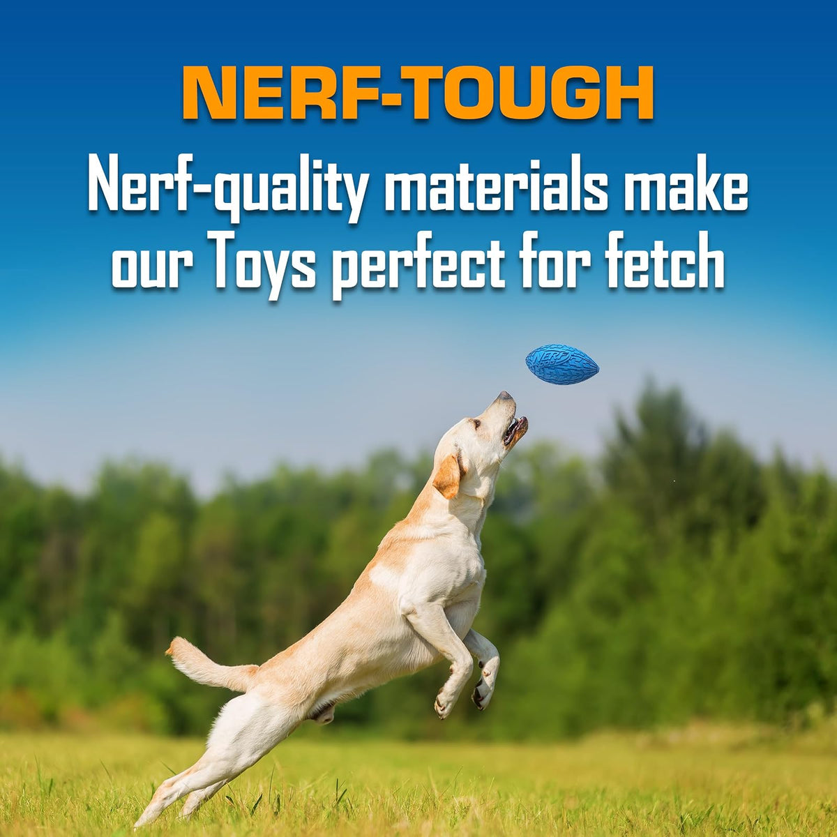 Nerf Dog - Juego de Regalo de Tres Juguetes, Bola crujiente, Bola LED chirriante y Juego de Regalo de fútbol chirriante