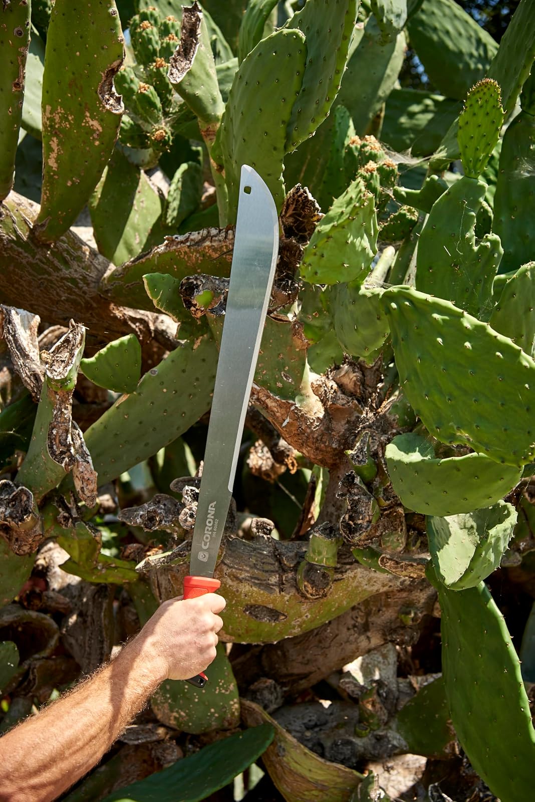 Corona Tools MA 60062 ErgoHandle Machete, 22 Pulgadas, Plateado