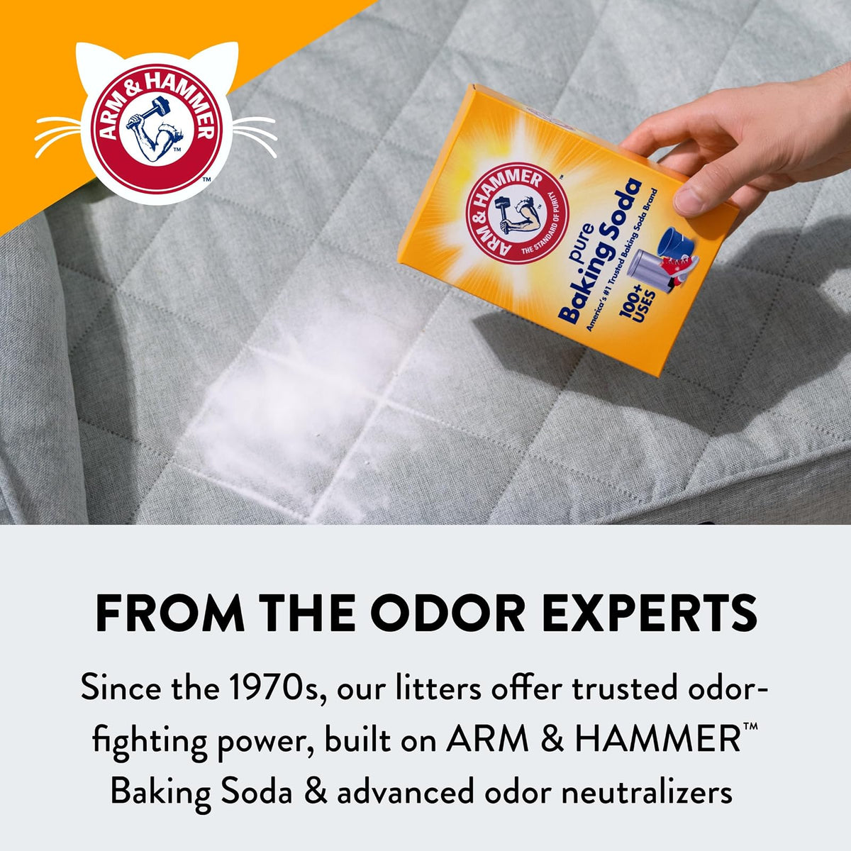 Arm & Hammer Slide Platinum - Arena para Gatos, multigato, 18 Libras