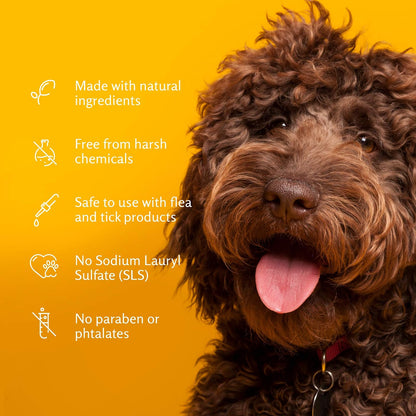 Champú de avena Arm & Hammer para perros | El mejor champú de avena para todos los perros y cachorros, 16 onzas, aroma a vainilla y coco