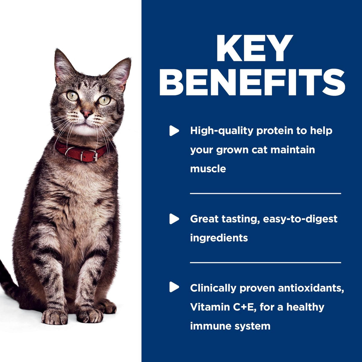 Hill's Science Diet Alimento Húmedo para Gato Adulto Atún 24 Pack 79G | Alimento húmedo Hill's para gato, atún real, digestión saludable, sistema inmunológico fuerte, omega-6 y vitamina E