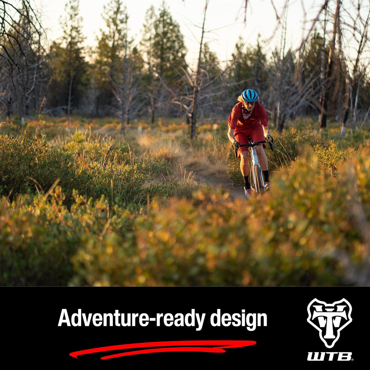 WTB Llanta MTB ‍ 29X2.25 (55-622) | Modelo Ranger Comp TCS | Color Negra | Resistente y de Alto Rendimiento | Código W010-0647