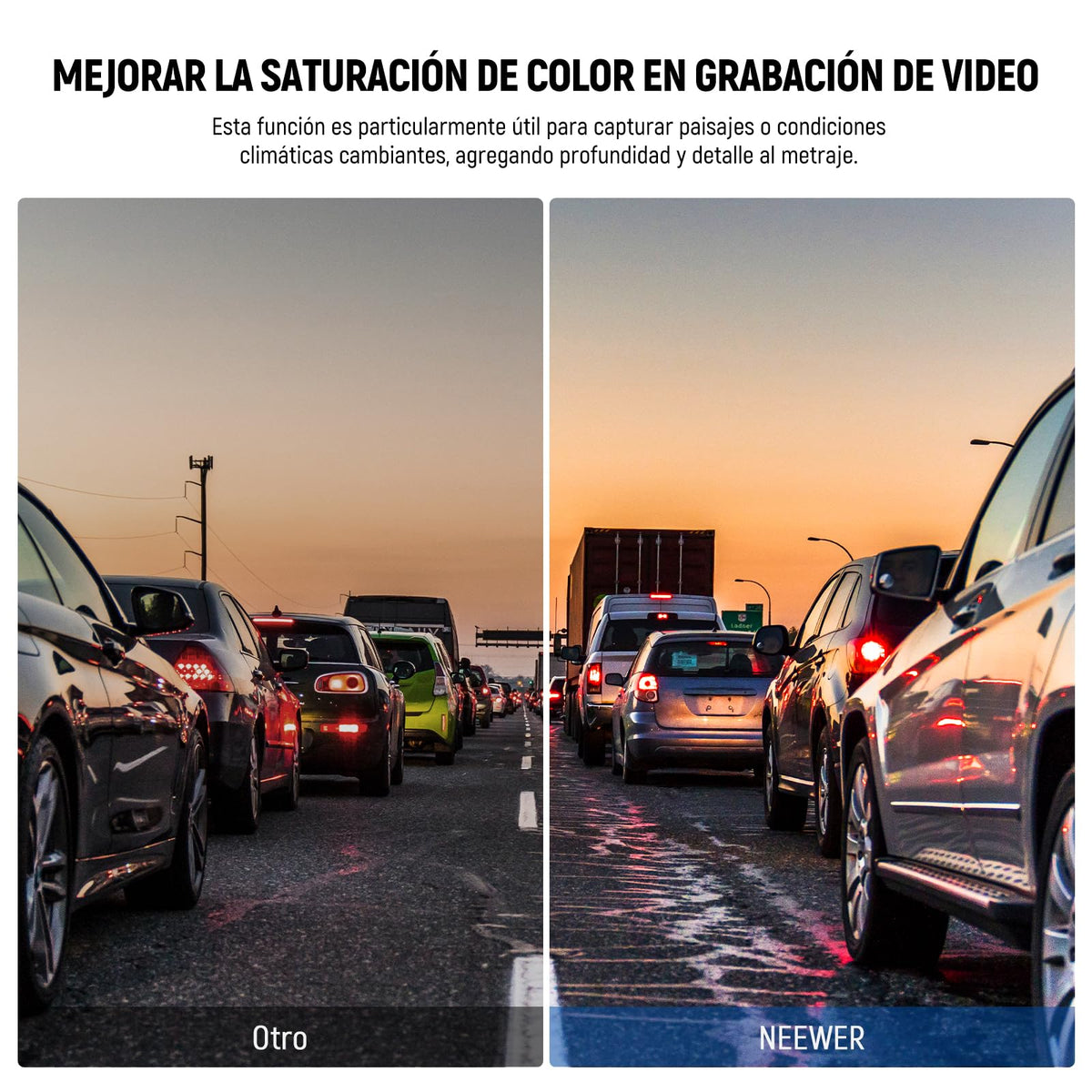 NEEWER Filtro CPL Dashcam Compatible con VIOFO A229/A139/A139Pro/T130/WM1, Accesorios Filtro Polarizador Circular Dash CAM, Reduce Reflejos y Deslumbramiento/Mejora el Contraste/Vidrio Óptico HD